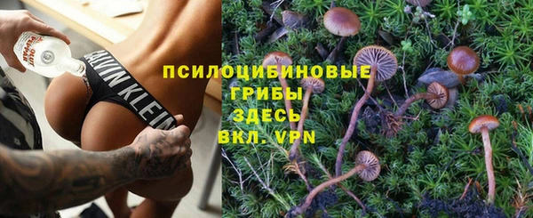 стаф Краснослободск