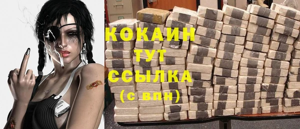 стаф Краснослободск