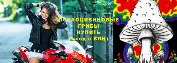 гашик Кулебаки