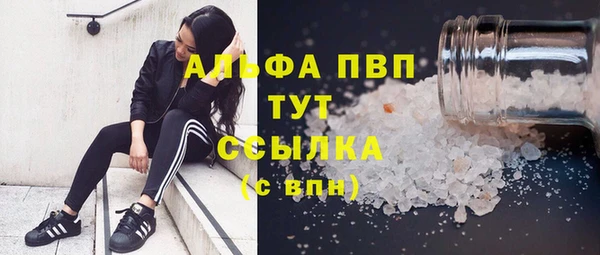 стаф Краснослободск