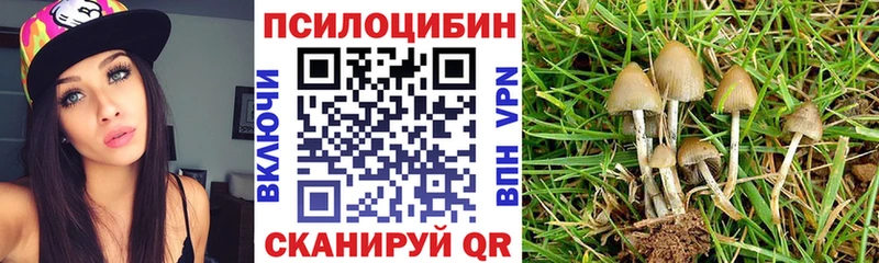 Псилоцибиновые грибы мухоморы Короча